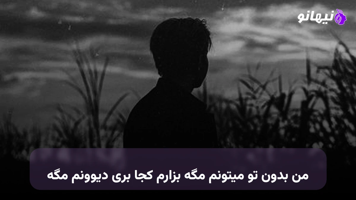 دانلود آهنگ من بدون تو میتونم مگه بزارم کجا بری دیوونم مگه